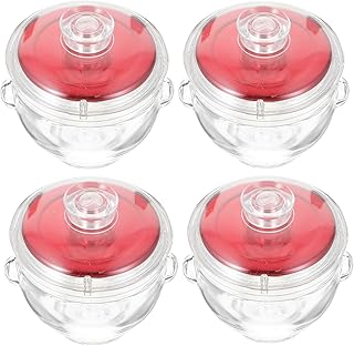 Glass Cubilose Bottles with Airtight Red Lids 100ml Food Storage Jars Set of 4 Sealed Glass Containers for Kitchen and Cubilose Storage