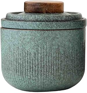 Portable Ceramic Travel Tea Set for One with Infuser Cup and Carrying Case, Matcha Green Tea Kit for Outdoor and Home Use