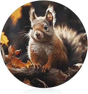 Squirrel in The Woods Cutting Boards Tempered Glass Chopping Board for Kitchen Multipurpose Cutting Surface Lightweight Round Butcher Block Unique Design Chopping Block