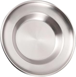 Stainless Steel Snack Tray and Cake Plate 20cm round Silver Dinnerware Household Food Serving Platter for Dessert and Roast Meat