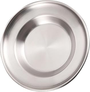 Homoyoyo 20cm Stainless Steel Dinner Plate Flat Food Tray Bbq Snack Dish Household Serving Platter for Kitchen and Dining